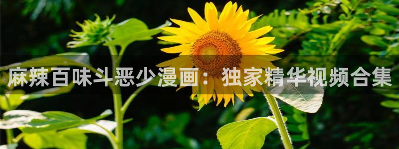 女神漫画网页免费阅读